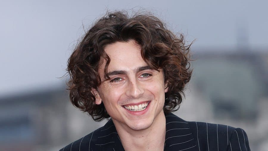 Timothée Chalamet - Gương mặt đẹp như tranh vẽ