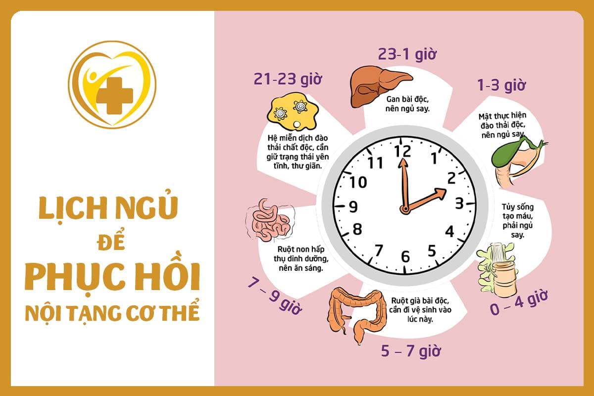 Thời Gian Ngủ Tốt Nhất Giúp Bạn Có Tinh Thần Tốt Nhất